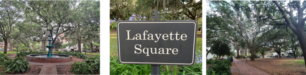 Lafayette Square photo