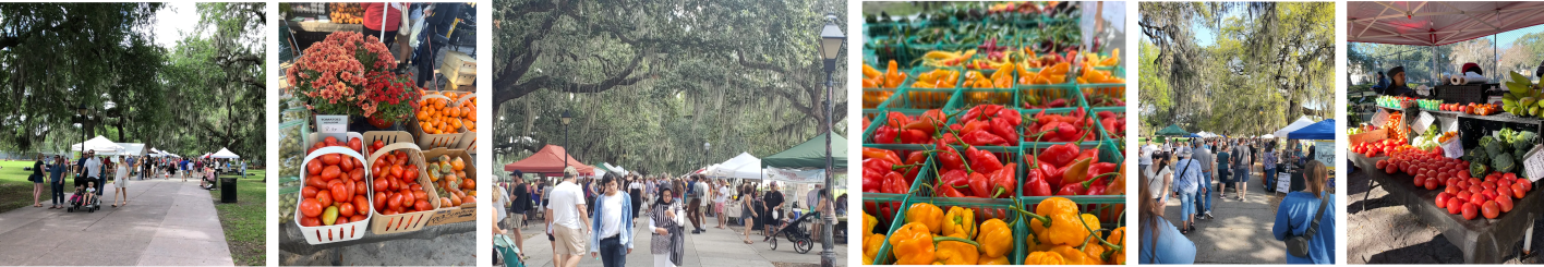 Saturday Farmers Market (Forsyth Park) photo