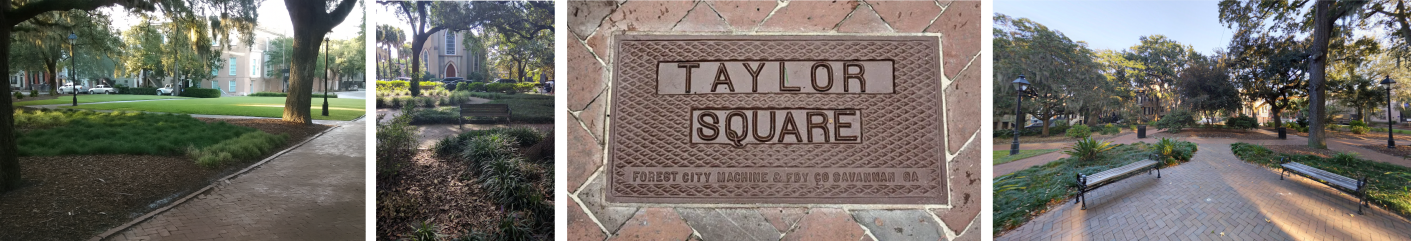 Taylor Square photo
